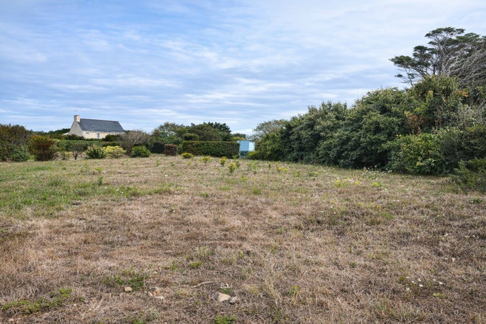 TERRAIN - BELLE VUE MER - RUSCUMUNOC - 546M² - NON CONSTRUCTIBLE - IDEAL DETENTE